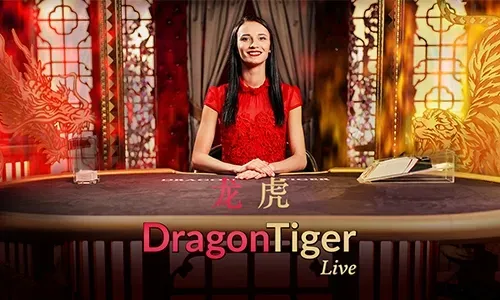 Guide to Live Casino Gaming